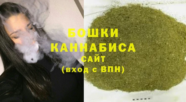 Альфа ПВП Аркадак